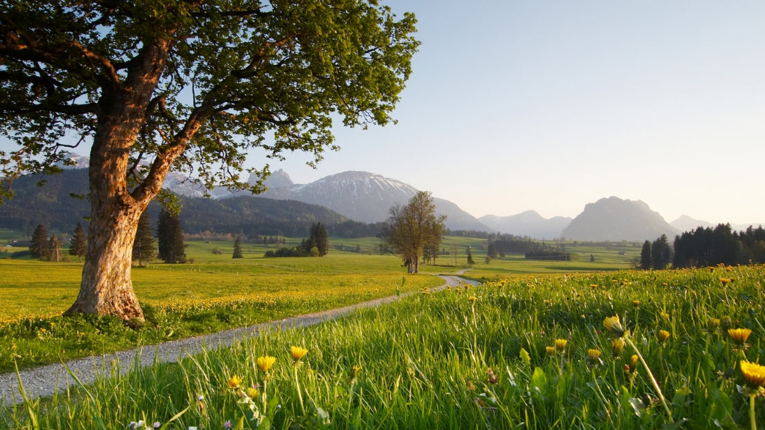 A Guide To Spring Scenting