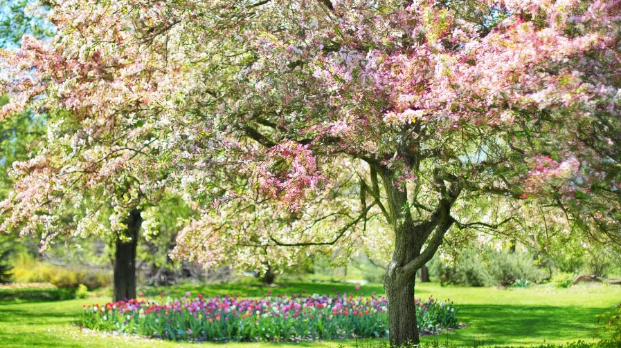 Get Spring Ready: Candles, Wax Melts & More