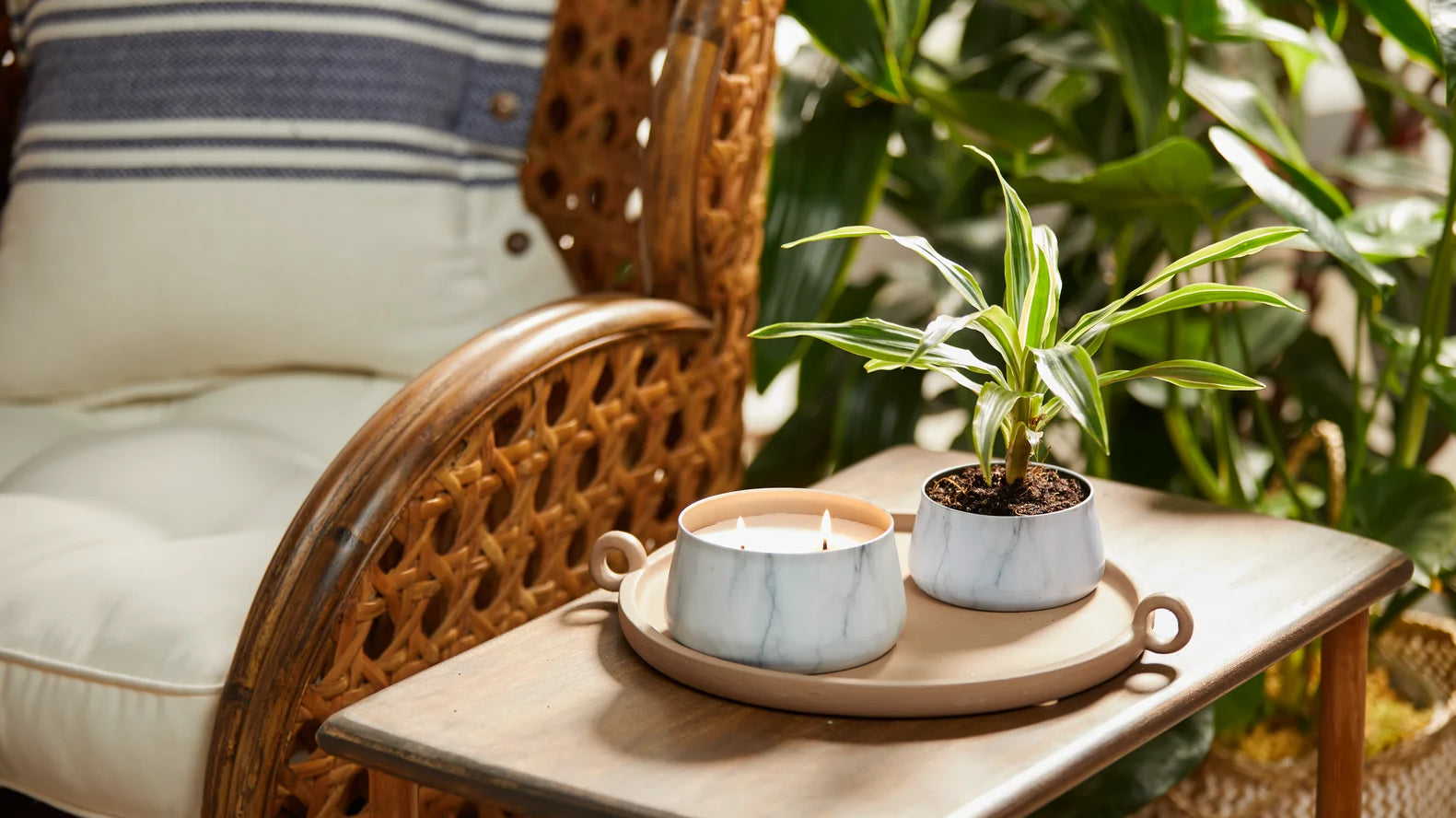 A picture of an up-cycled WoodWick Candle with a plant.