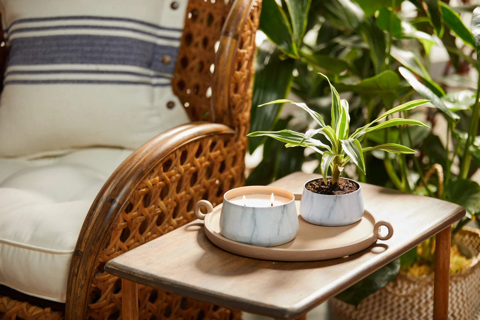 A picture of an up-cycled WoodWick Candle with a plant.