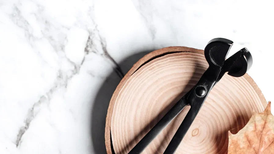 Candle Wick Trimmers – Why Every Candle Lover Needs One