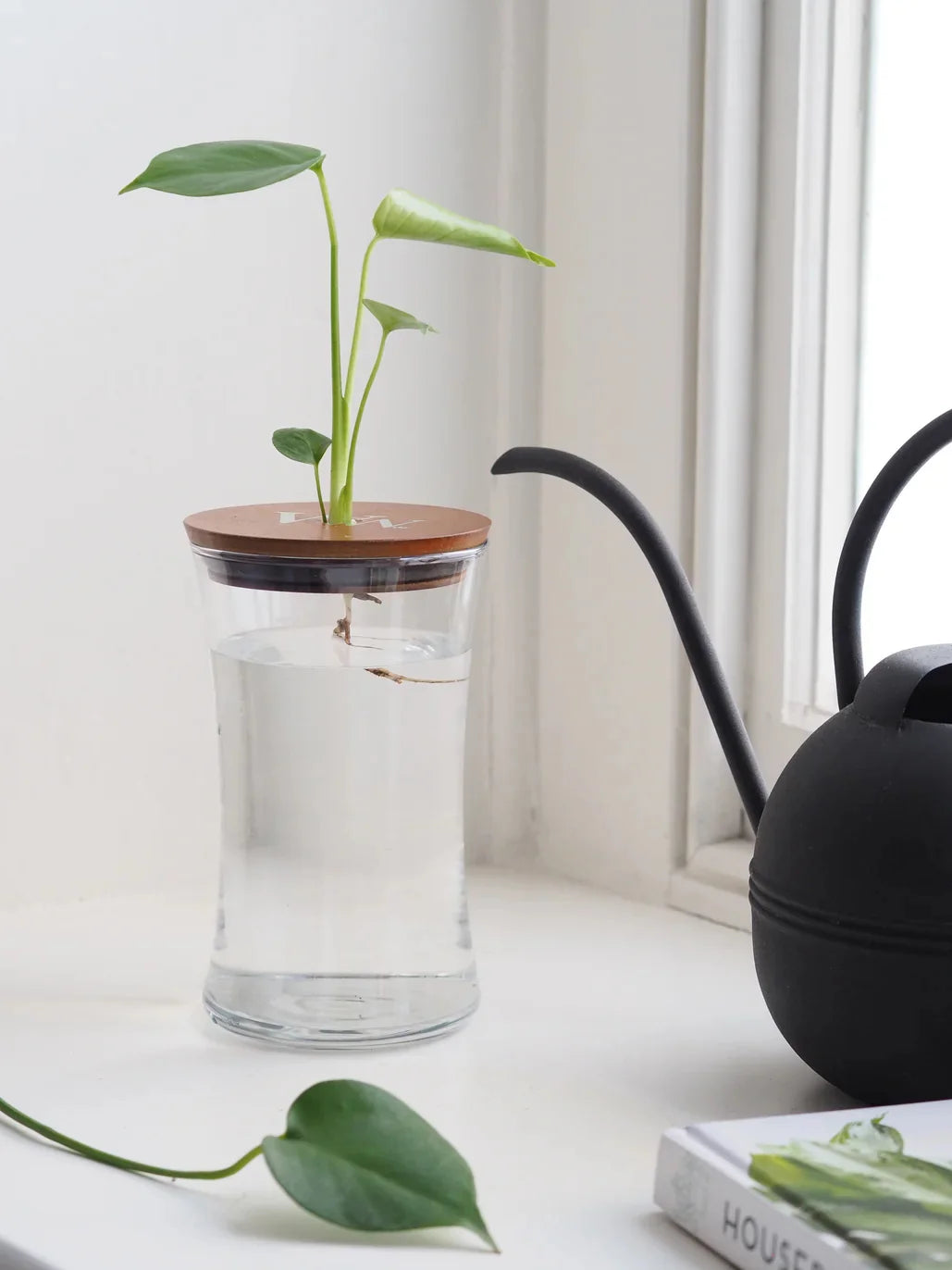 A Woodwick large hourglass candle upcycled into water filled planter