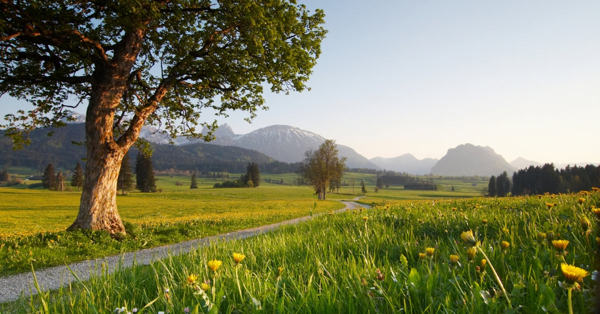 A Guide To Spring Scenting