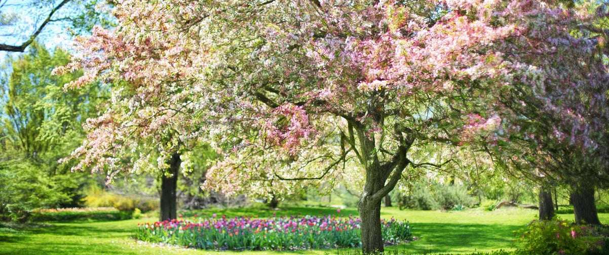 Get Spring Ready: Candles, Wax Melts & More