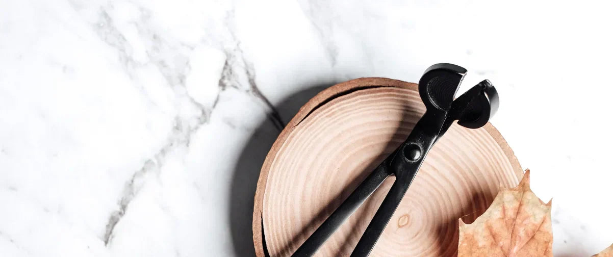 Candle Wick Trimmers – Why Every Candle Lover Needs One